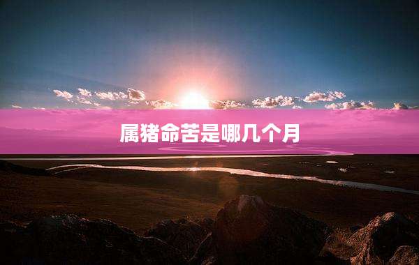 属猪命苦是哪几个月