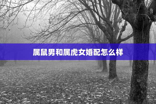 属鼠男和属虎女婚配怎么样