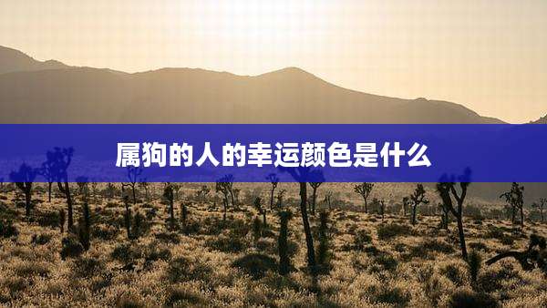 属狗的人的幸运颜色是什么