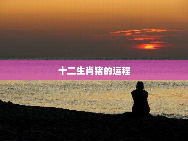 十二生肖猪的运程
