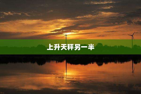 上升天秤另一半