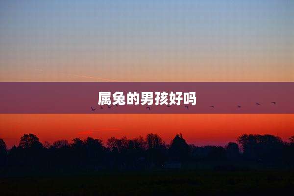 属兔的男孩好吗