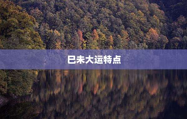 巳未大运特点