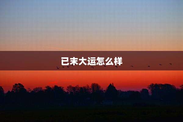 已末大运怎么样