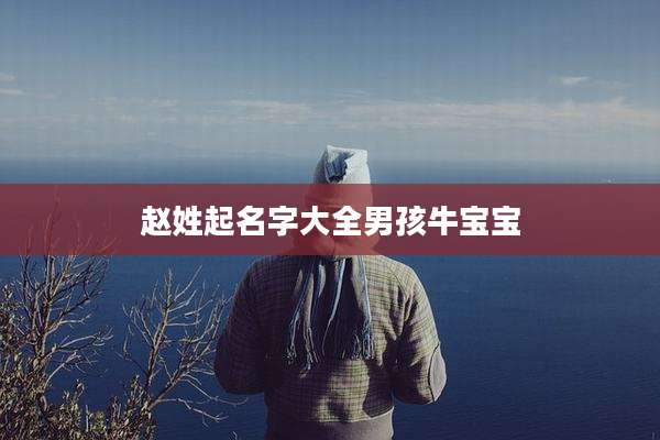 赵姓起名字大全男孩牛宝宝