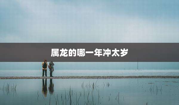 属龙的哪一年冲太岁