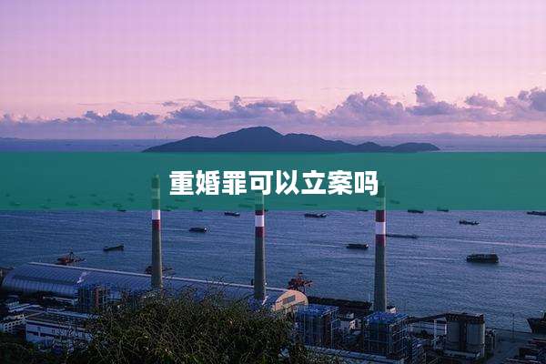 重婚罪可以立案吗