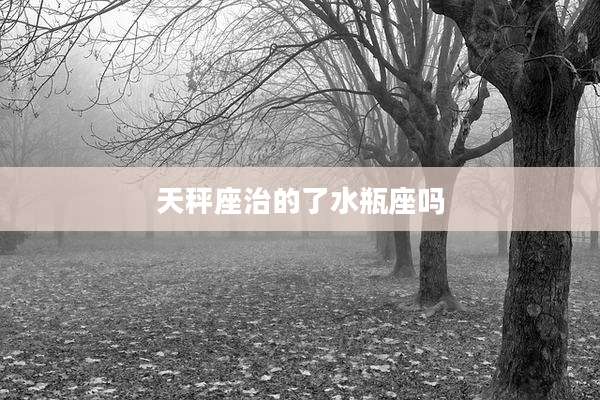 天秤座治的了水瓶座吗