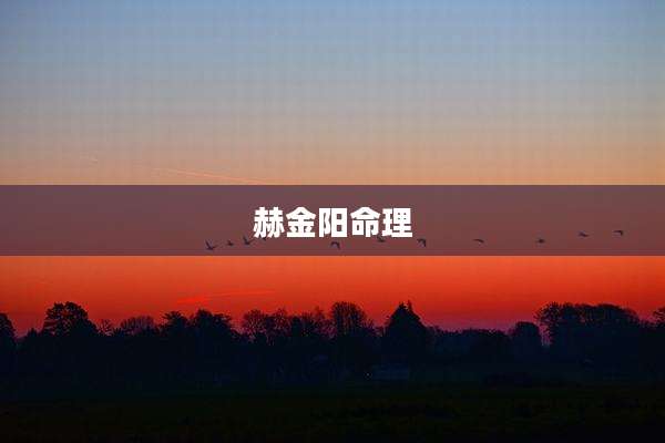 赫金阳命理