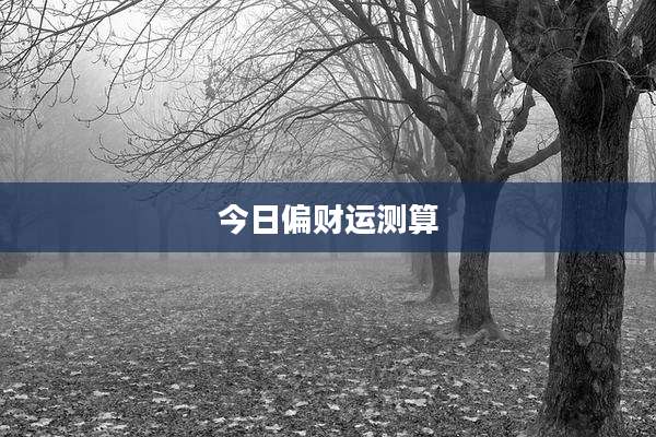 今日偏财运测算