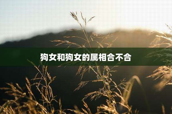 狗女和狗女的属相合不合