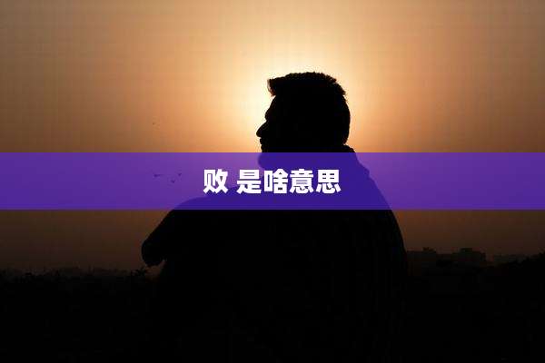 败 是啥意思
