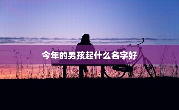 今年的男孩起什么名字好