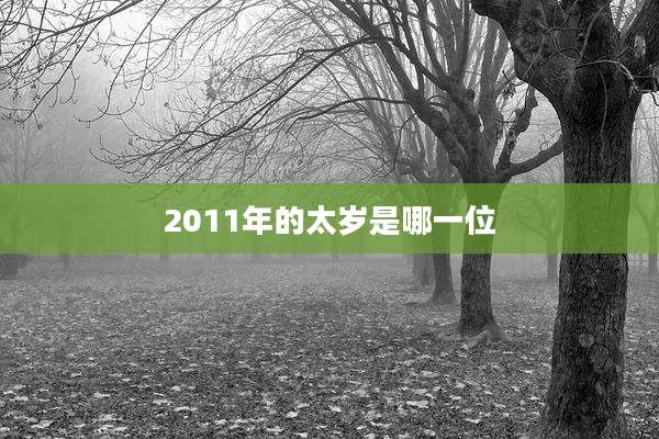 2011年的太岁是哪一位