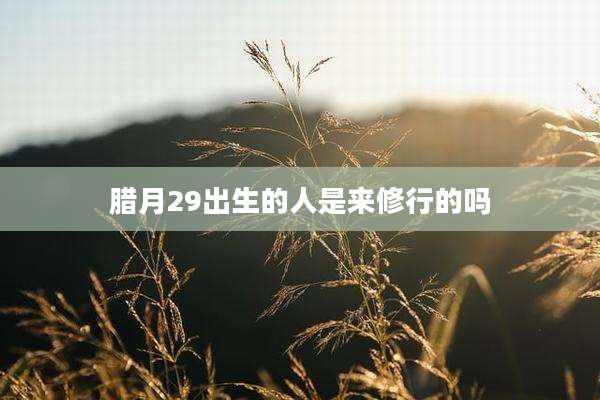 腊月29出生的人是来修行的吗