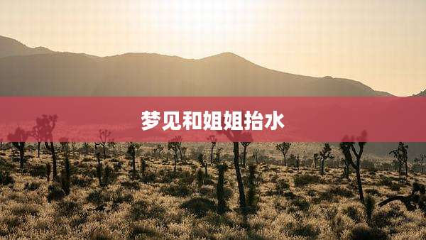 梦见和姐姐抬水