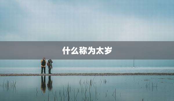 什么称为太岁