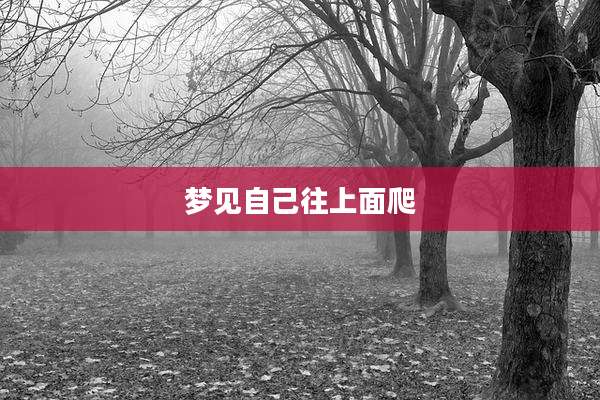 梦见自己往上面爬