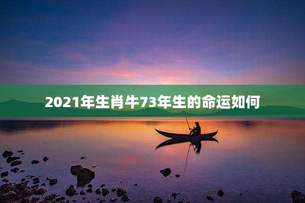 2021年生肖牛73年生的命运如何