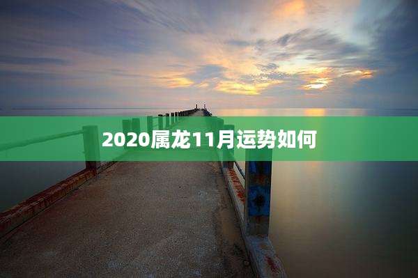 2020属龙11月运势如何