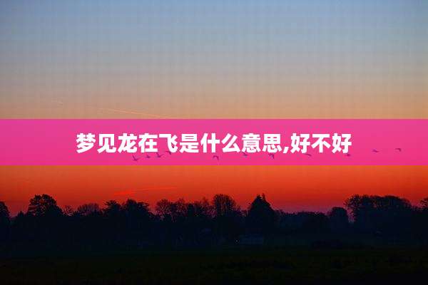 梦见龙在飞是什么意思,好不好