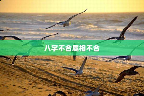 八字不合属相不合
