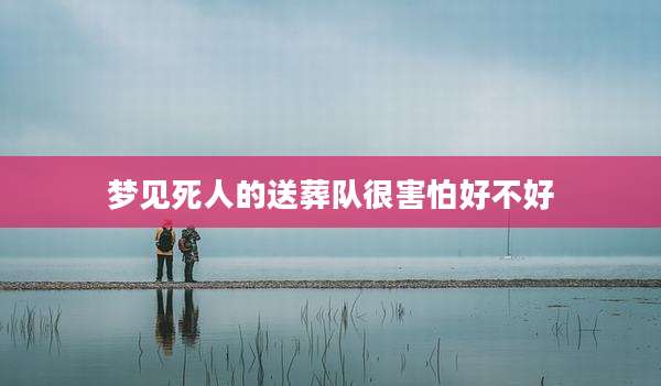 梦见死人的送葬队很害怕好不好