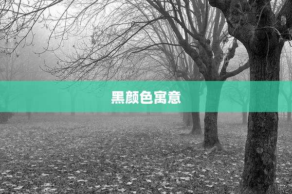 黑颜色寓意