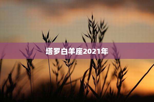 塔罗白羊座2021年