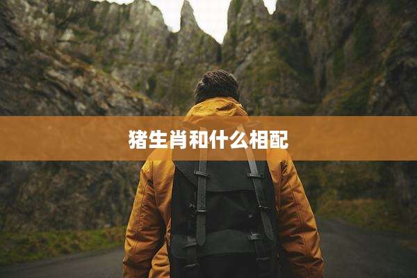 猪生肖和什么相配