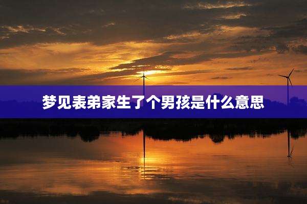 梦见表弟家生了个男孩是什么意思