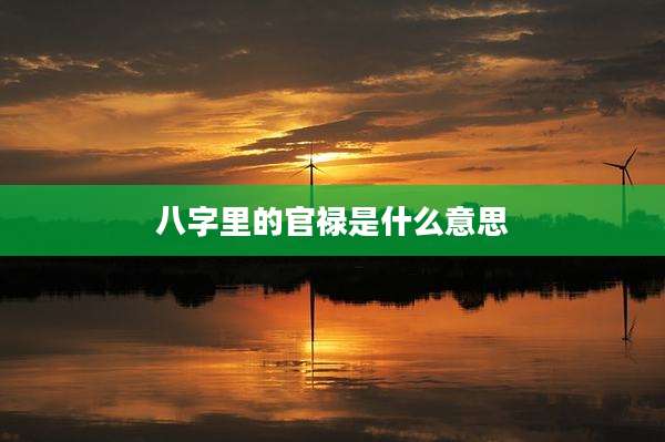 八字里的官禄是什么意思