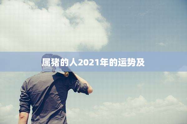 属猪的人2021年的运势及
