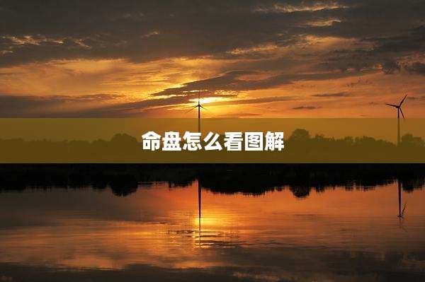 命盘怎么看图解
