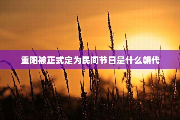 重阳被正式定为民间节日是什么朝代