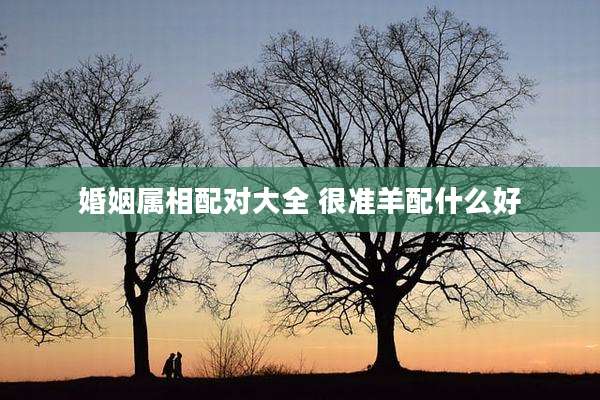婚姻属相配对大全 很准羊配什么好