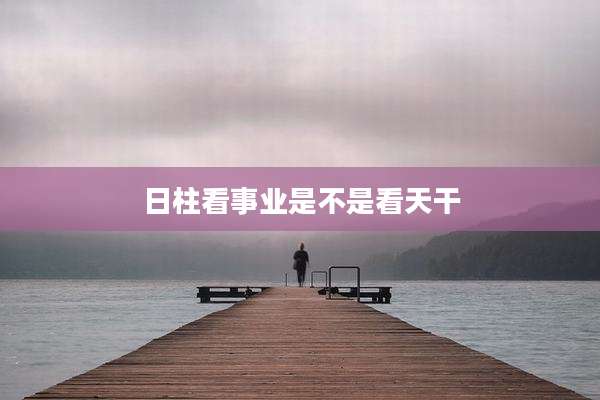 日柱看事业是不是看天干