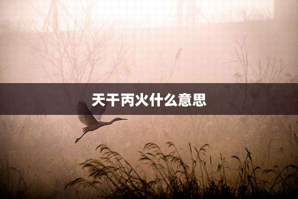 天干丙火什么意思