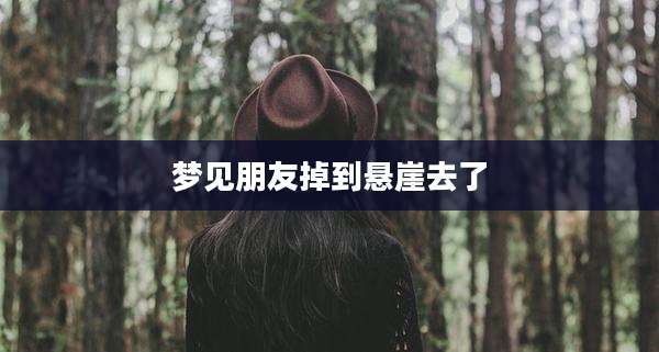 梦见朋友掉到悬崖去了