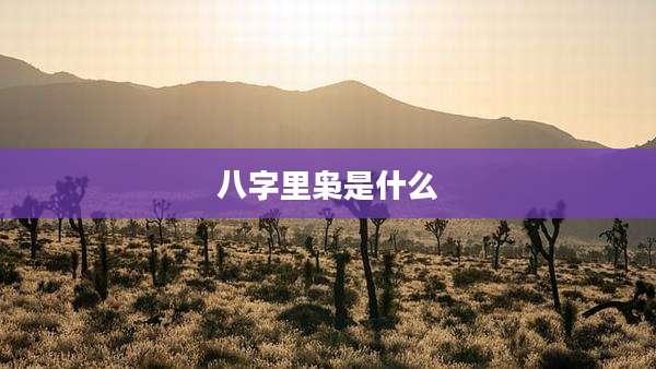 八字里枭是什么