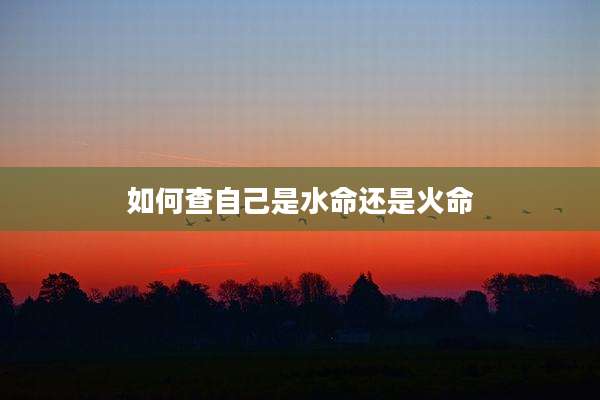 如何查自己是水命还是火命