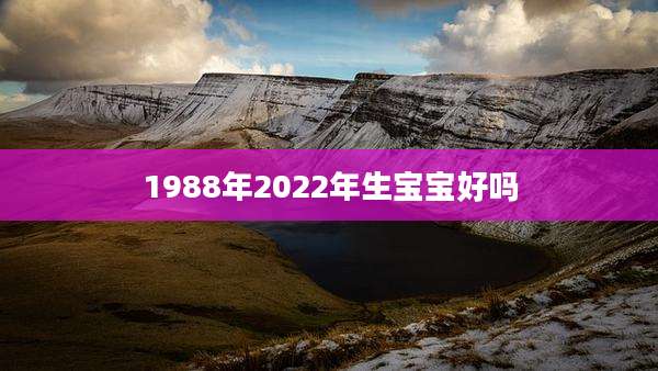 1988年2022年生宝宝好吗