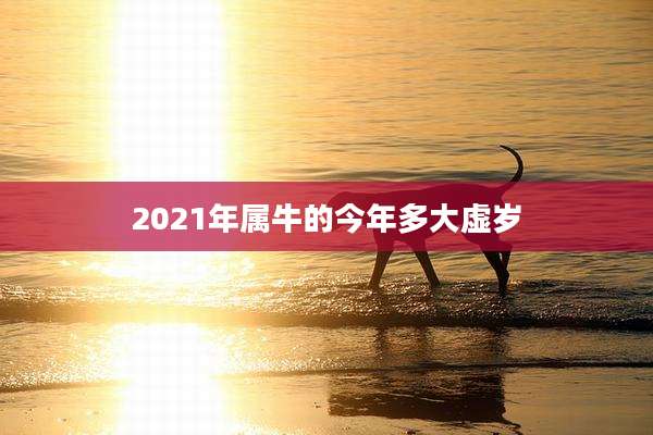 2021年属牛的今年多大虚岁
