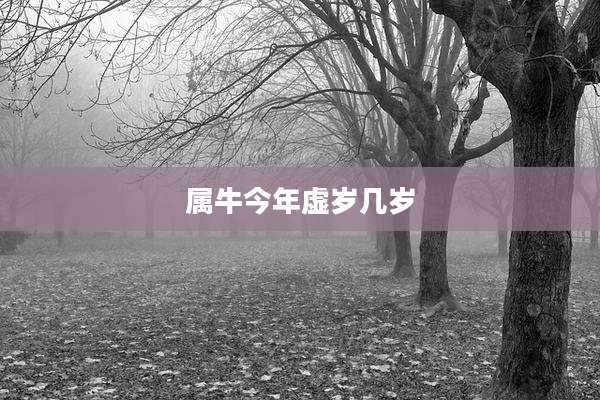 属牛今年虚岁几岁