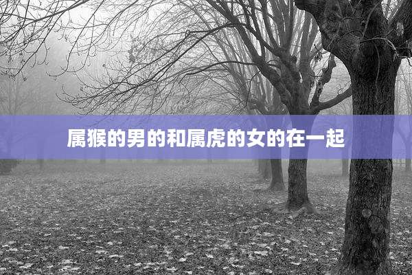 属猴的男的和属虎的女的在一起