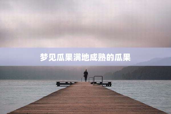 梦见瓜果满地成熟的瓜果