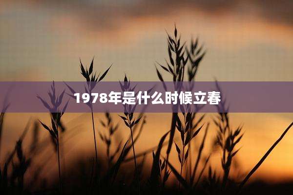 1978年是什么时候立春