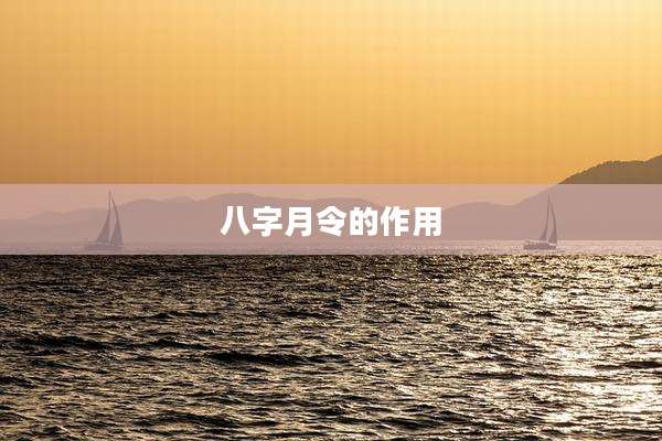 八字月令的作用