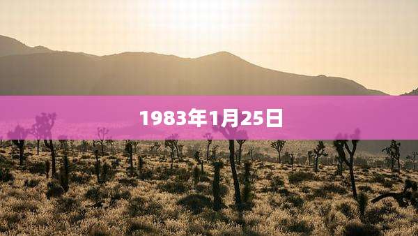 1983年1月25日