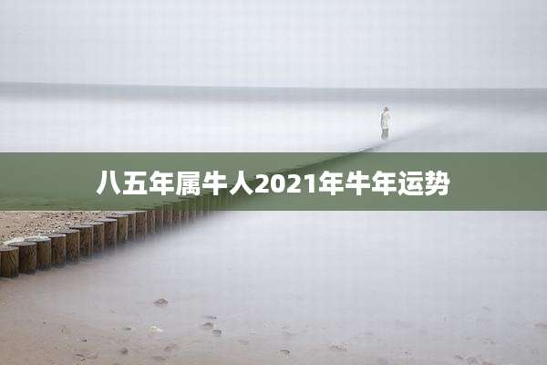 八五年属牛人2021年牛年运势